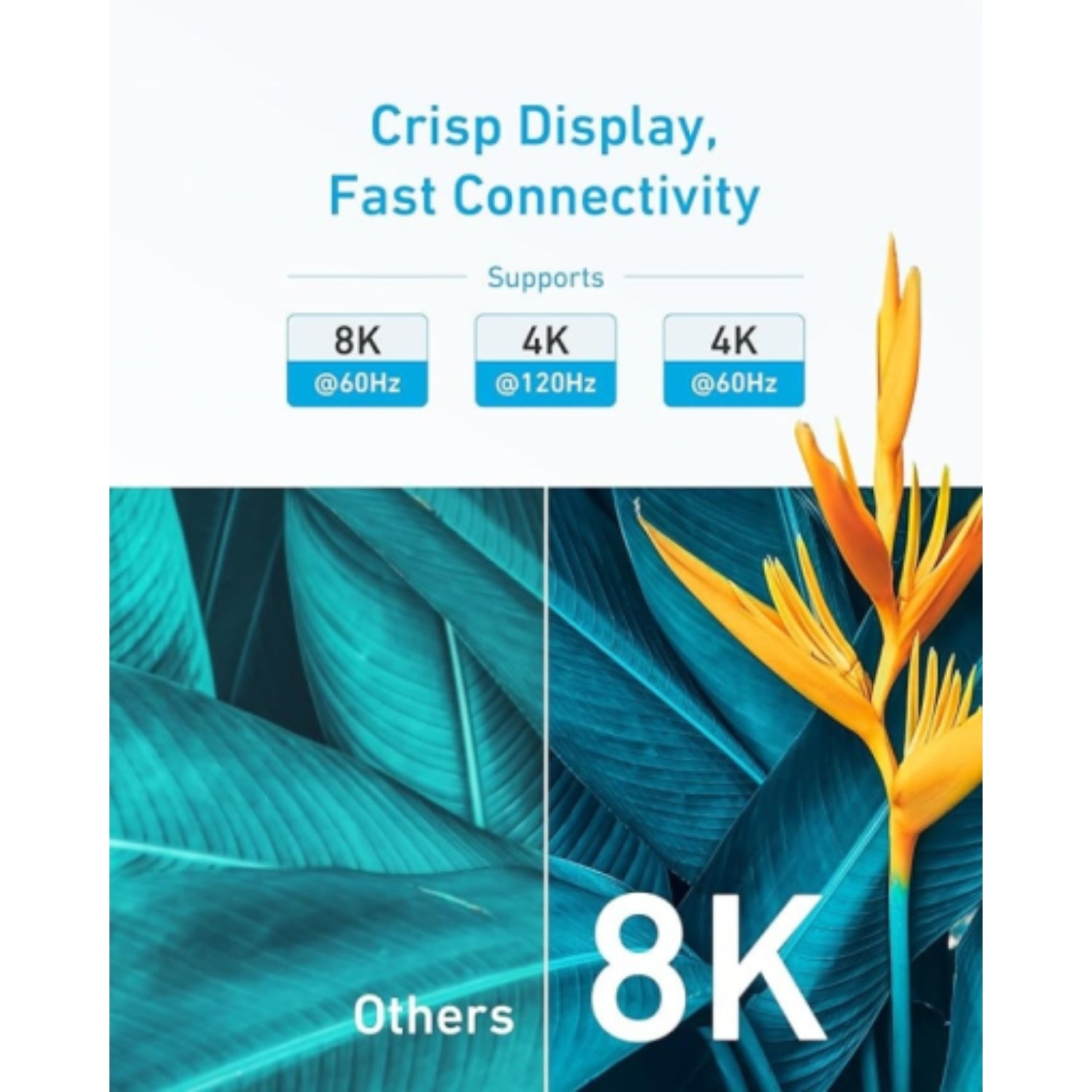 HDMI to HDMI Cable (8K, 6ft)